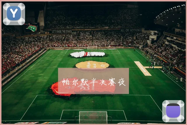 帕尔默半决赛夜