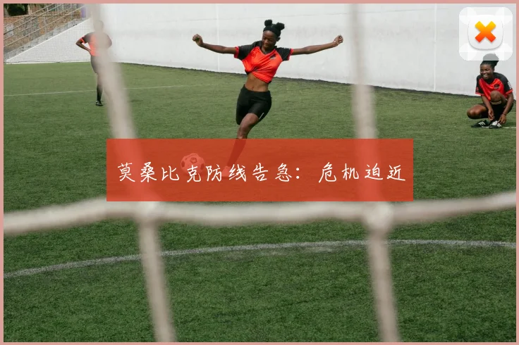 莫桑比克防线告急：危机迫近