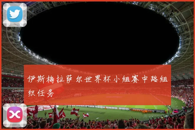 伊斯梅拉萨尔世界杯小组赛中路组织任务