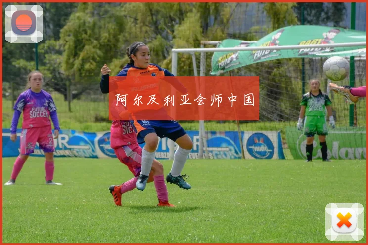 阿尔及利亚会师中国