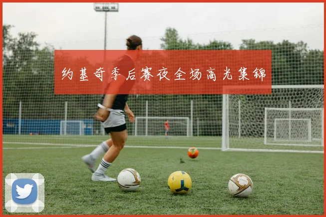 约基奇季后赛夜全场高光集锦