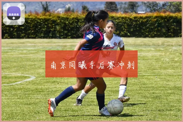 南京同曦季后赛冲刺