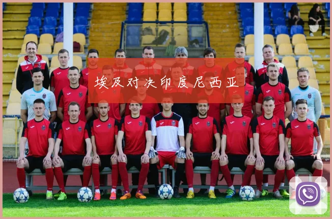 埃及对决印度尼西亚