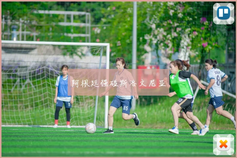 阿根廷强碰斯洛文尼亚