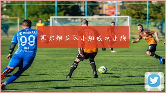 塞尔维亚队小组成功出线