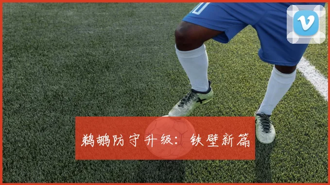 鹈鹕防守升级：铁壁新篇