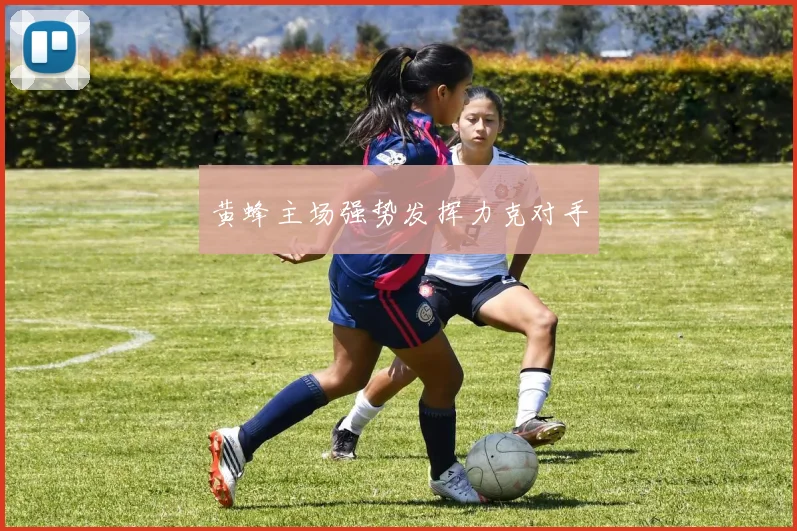 黄蜂主场强势发挥力克对手