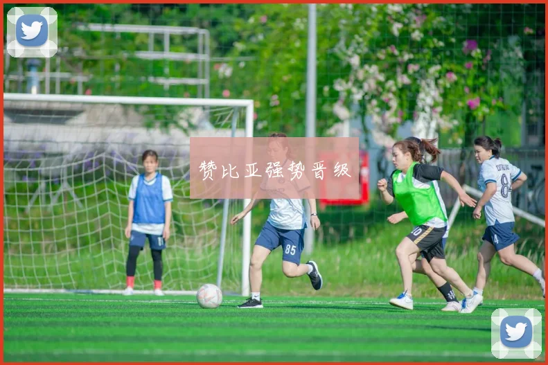 赞比亚强势晋级
