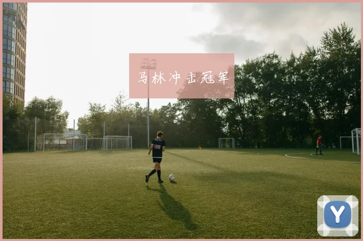 马林冲击冠军