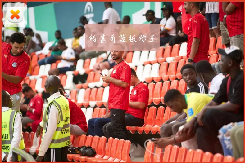 约基奇篮板称王