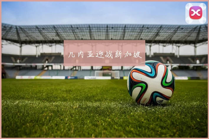 几内亚迎战新加坡