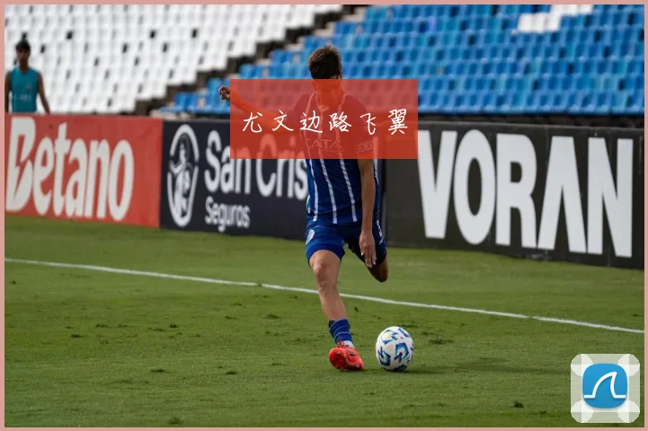 尤文边路飞翼