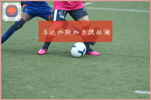 马达加斯加力挽狂澜