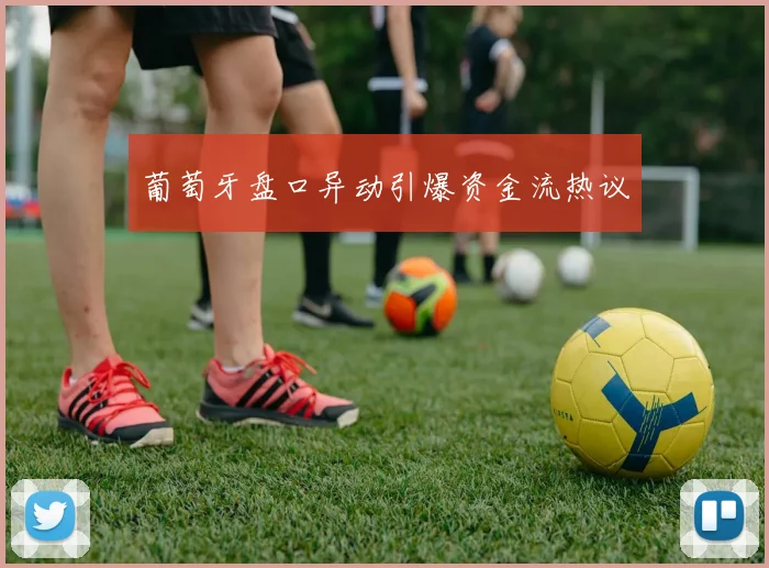 葡萄牙盘口异动引爆资金流热议