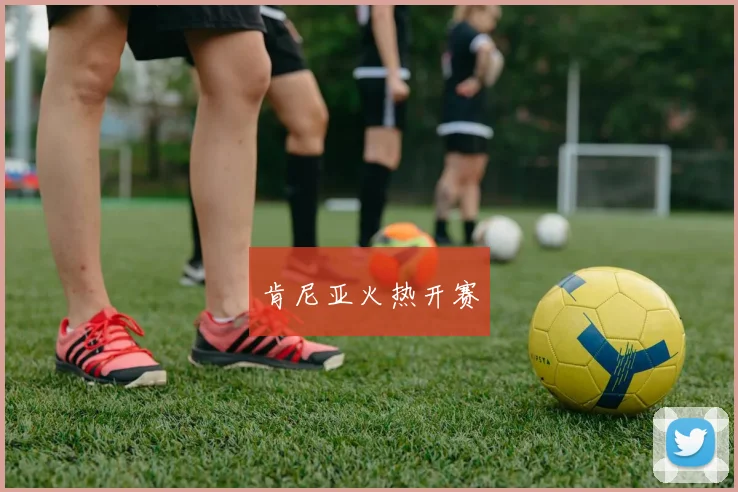 肯尼亚火热开赛
