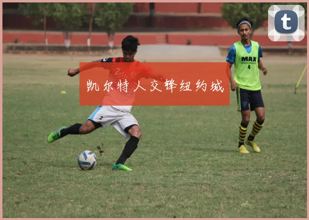 凯尔特人交锋纽约城