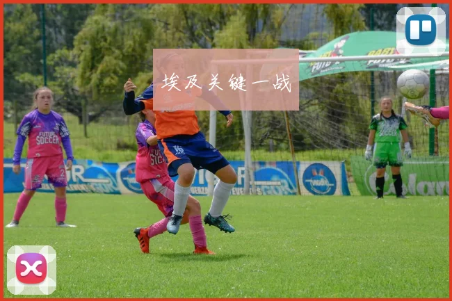 埃及关键一战