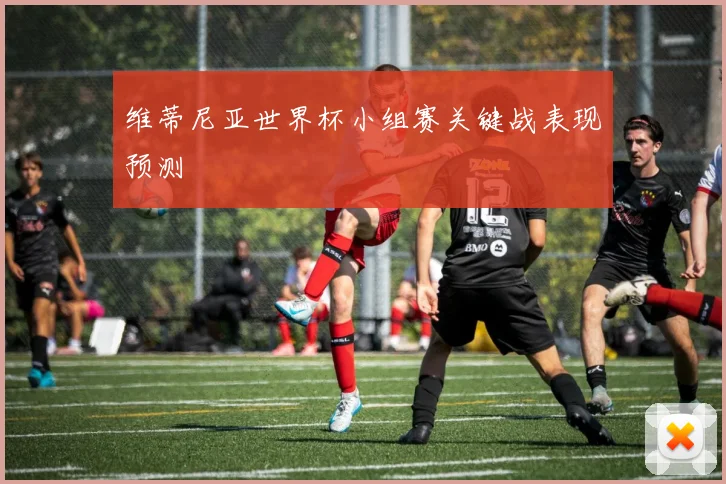 维蒂尼亚世界杯小组赛关键战表现预测