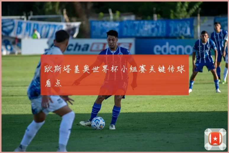 欧斯塔基奥世界杯小组赛关键传球看点