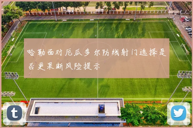 哈勒面对厄瓜多尔防线射门选择是否更果断风险提示