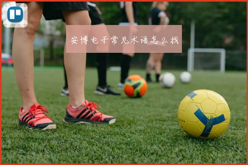 安博电子常见术语怎么找